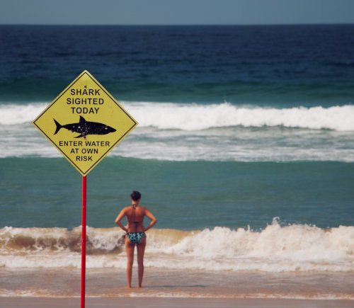 Woman on beach looking at water next to a sign that reads: Shark sighted today. Enter water at own risk.